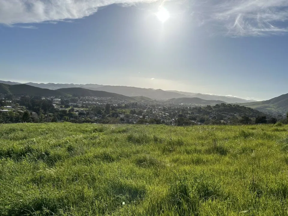 Afternoon sun over tall green grass and the town below the hills