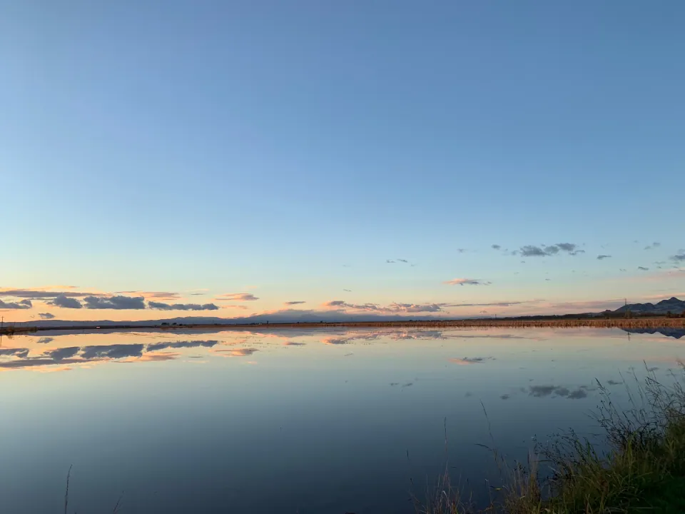 Mirror-calm flooded rice field reflecting sunset sky and buttes