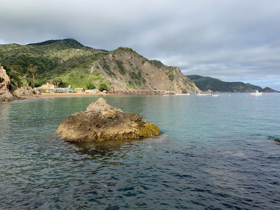 Clear green cove with rock islet below steep island hills