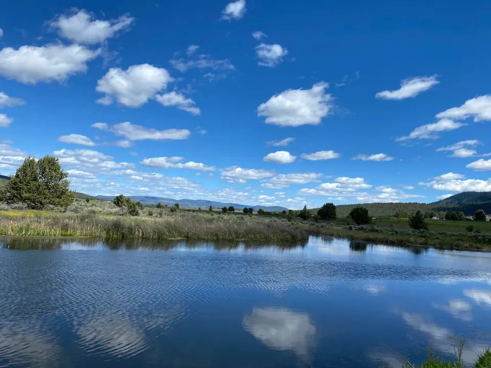 Still pond mirroring white clouds and blue sky, distant hills