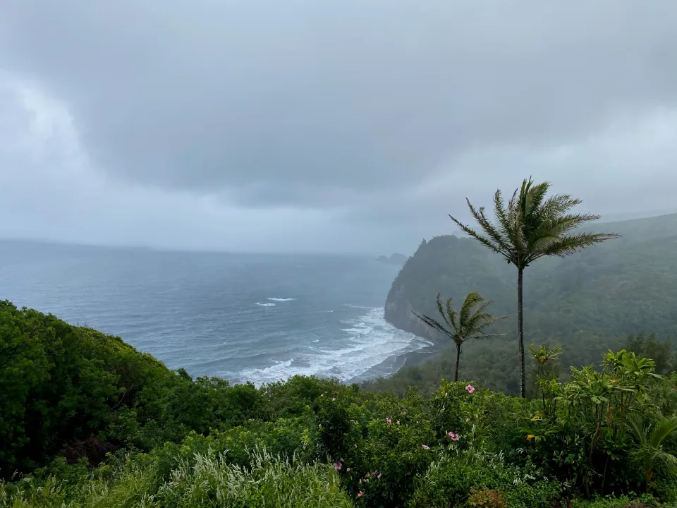 Misty Hawaiian sea cliffs and black-sand valley beach framed by palm