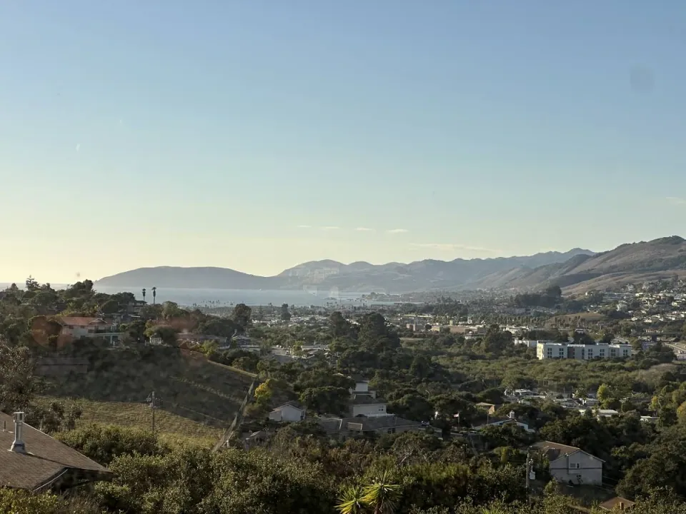 Hillside neighborhood above the bay in late afternoon light