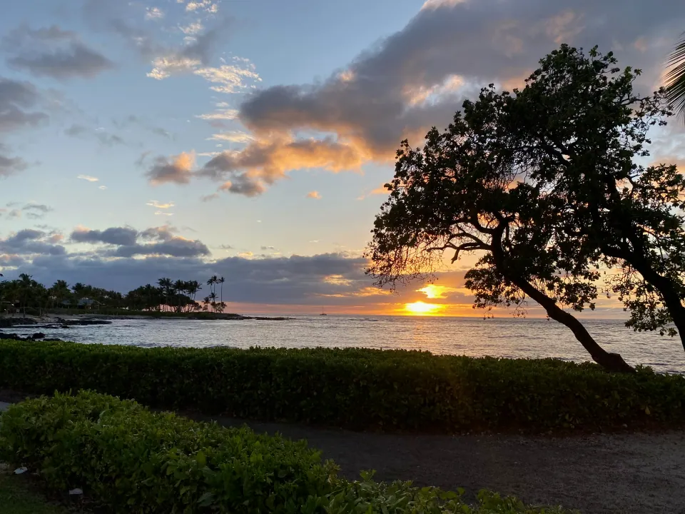 Hawaiian beach sunset with silhouetted kiawe tree and glowing clouds