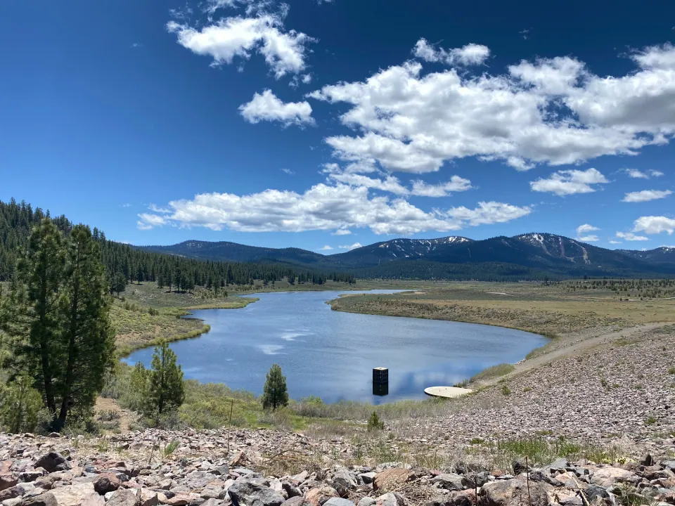 High Sierra reservoir winding through pines under puffy white clouds