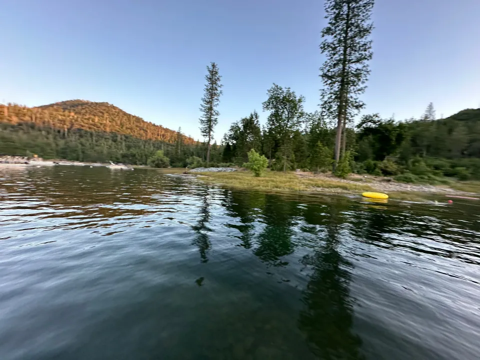 Pines reflected in still mountain lake, sunlit ridge behind