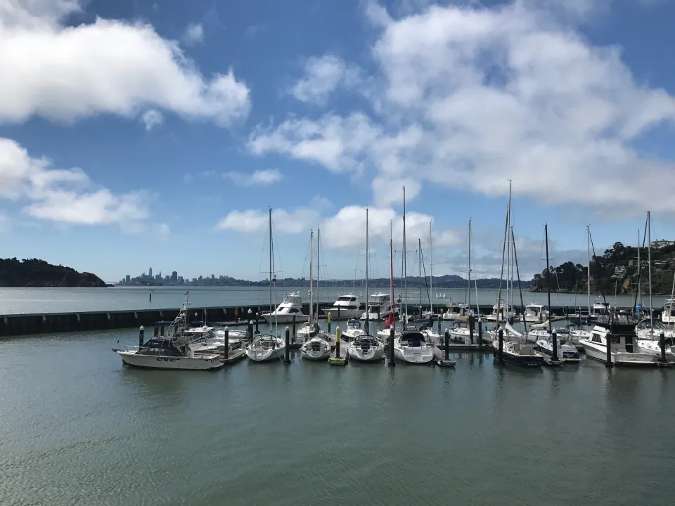Sailboat marina on calm bay under blue sky with clouds