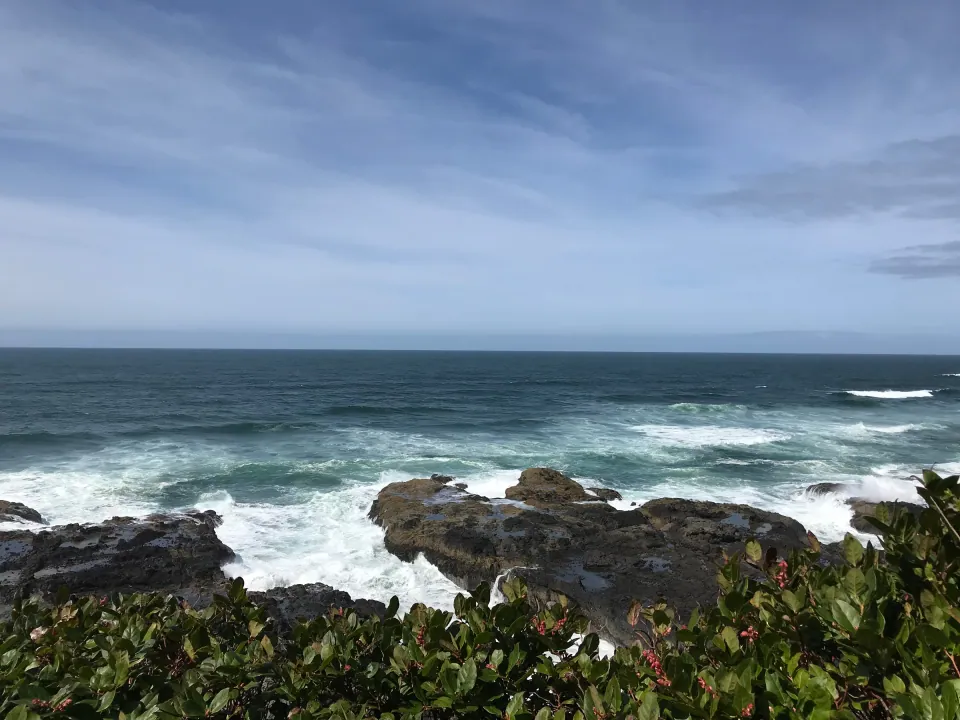 Waves crashing on dark coastal rocks under cloudy sky