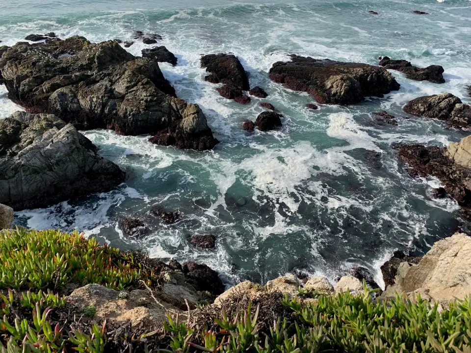 Surf swirling through dark rocks on rugged Sonoma coast