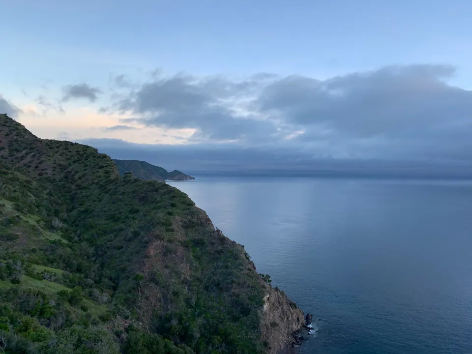 Steep green island coastline descending to calm blue sea