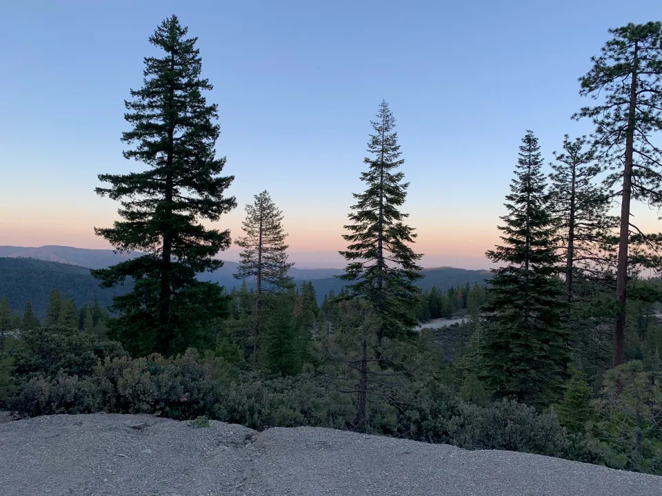 Tall pines silhouetted at dusk over layered mountain ridges