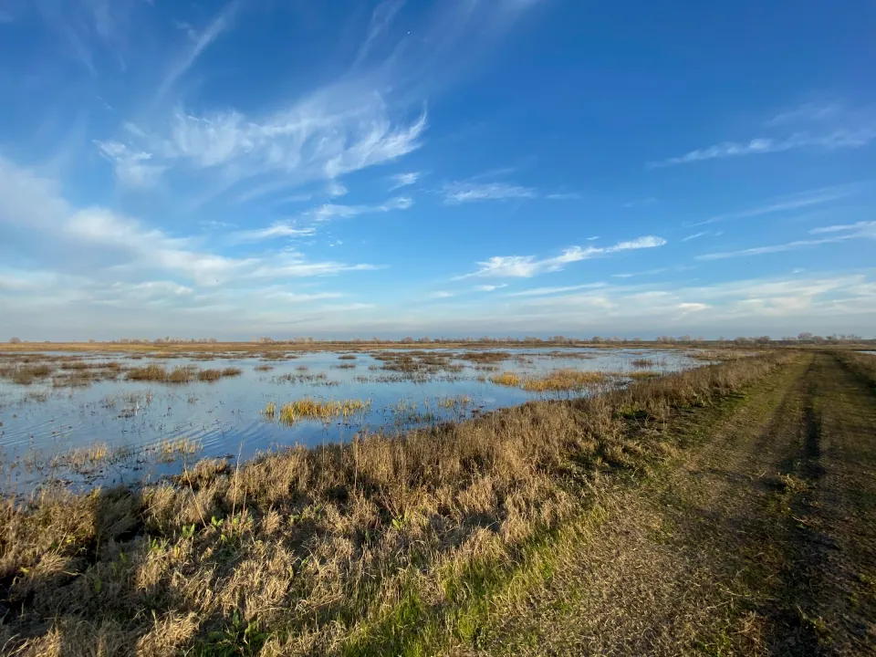 Flooded wetland stretching to the horizon beside a levee road