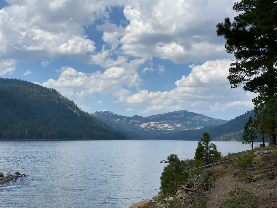 Mountain lake under blue sky with forested ridges and pine shoreline