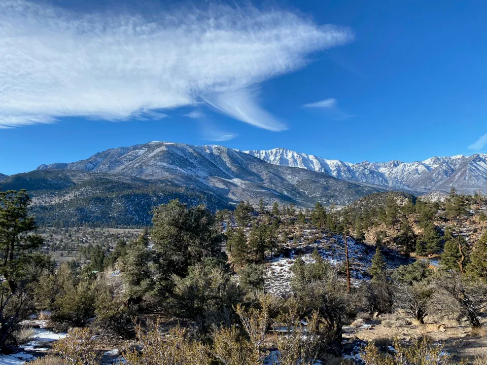 Snow-dusted mountain range above pine-dotted high desert, blue sky