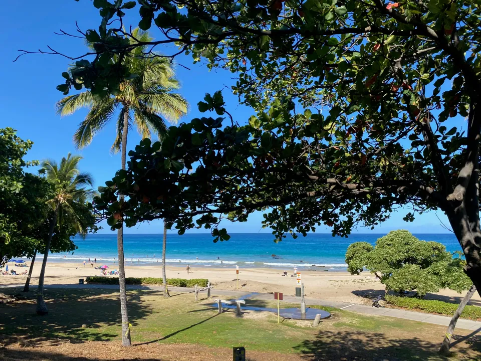 White sand beach and turquoise bay framed by palms and trees