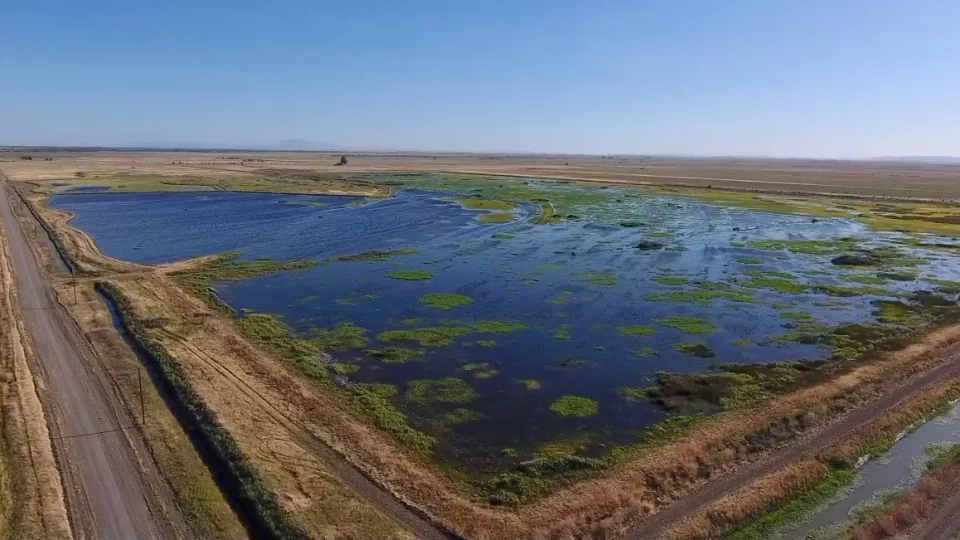 Aerial view of flooded rice fields and levee stretching to horizon