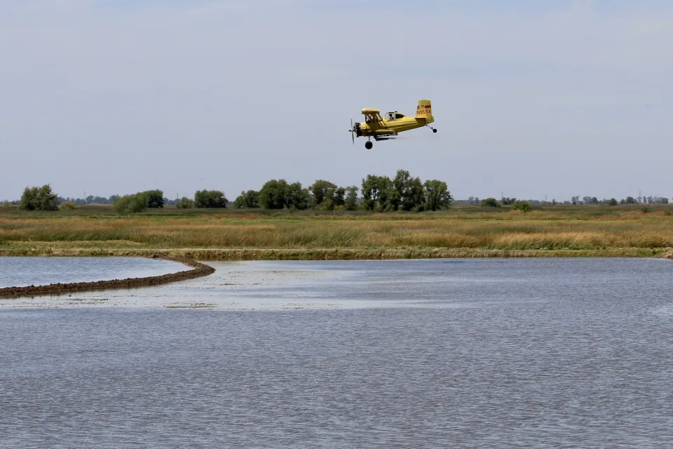 Yellow crop duster swooping low over flooded rice field