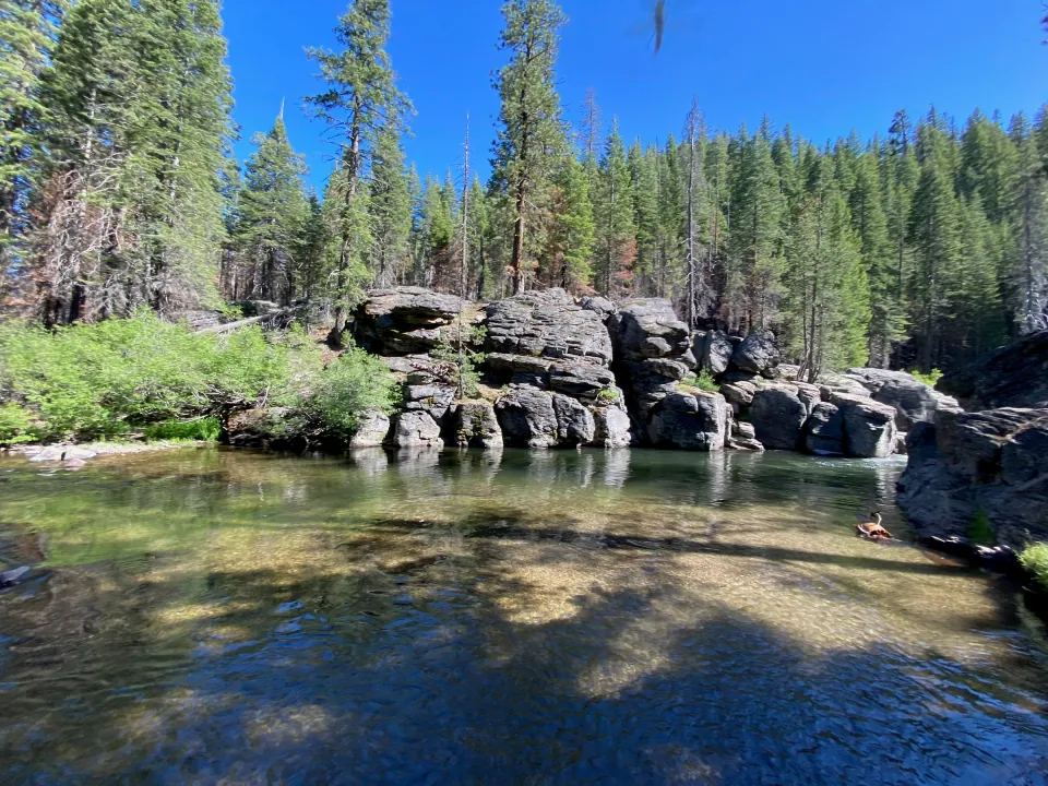 Clear mountain river pool below granite rocks and pine forest