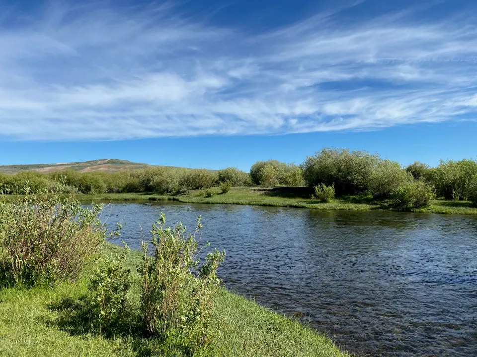 Clear Wyoming river curving through willows and green rangeland