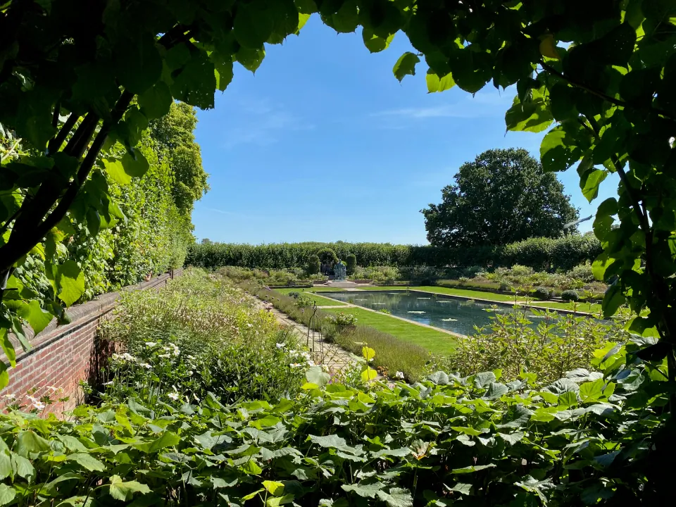 Kensington Palace sunken garden pond seen through hedge, summer