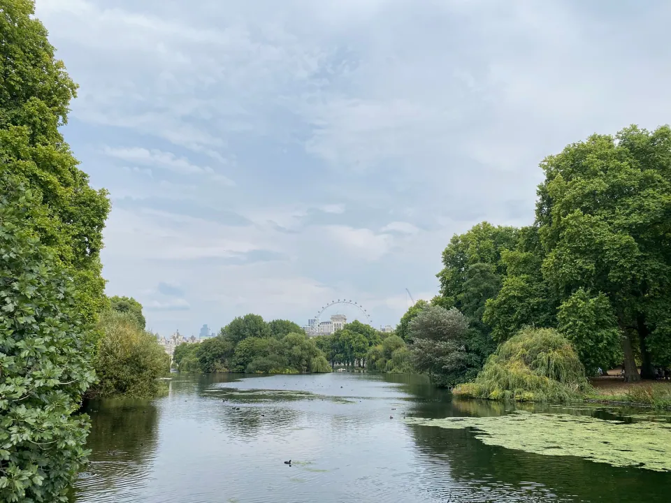 St James's Park lake framed by tall green trees