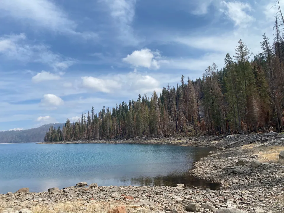 Sierra mountain lake with pine forest shoreline and clouds