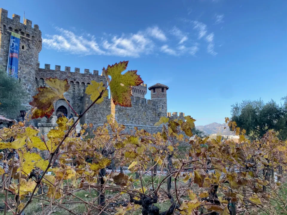 Napa castle winery above autumn vineyard rows