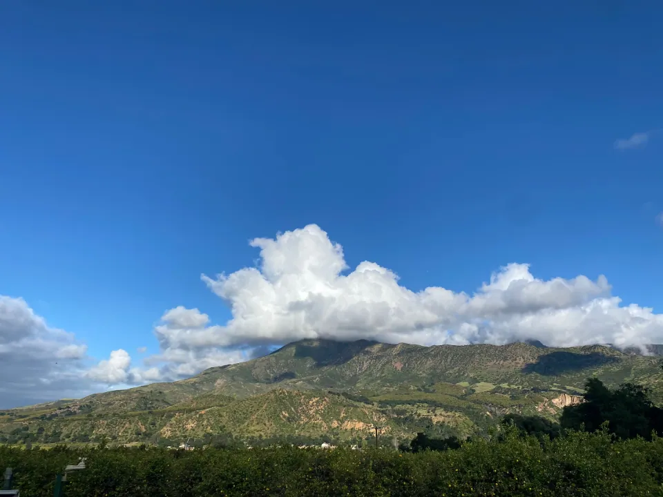 White clouds over mountain range above avocado orchards