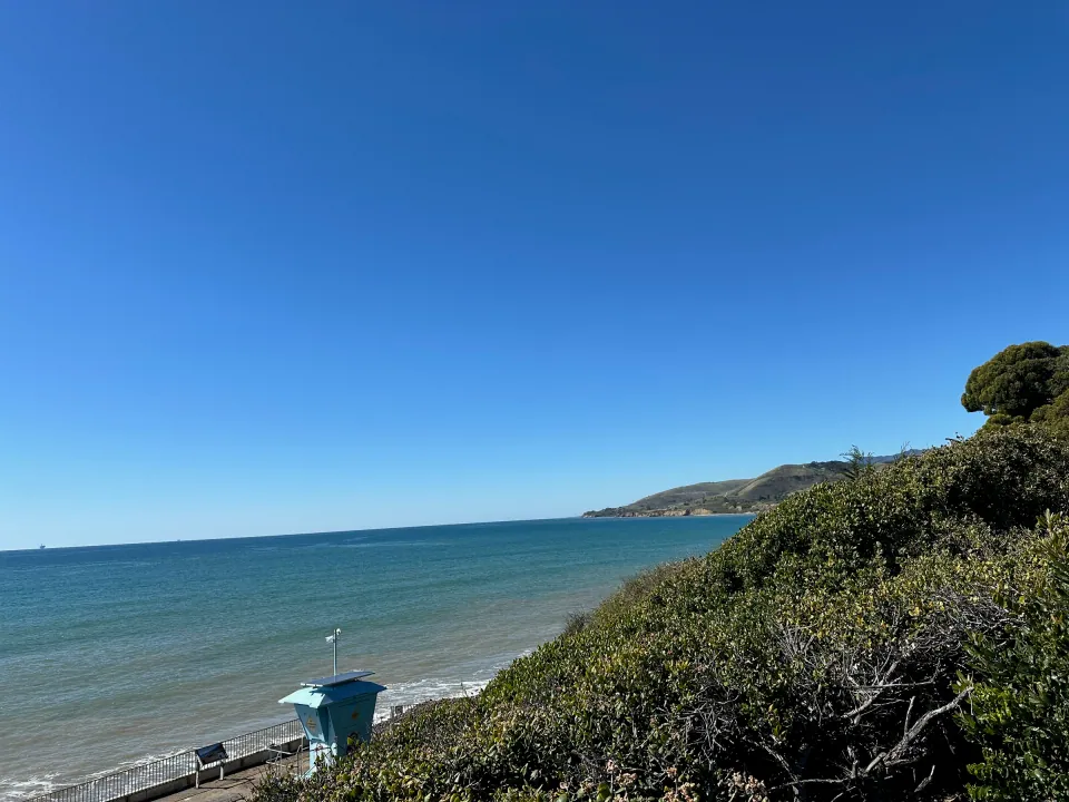 Blue Pacific and curving bluffs seen from green coastal hillside