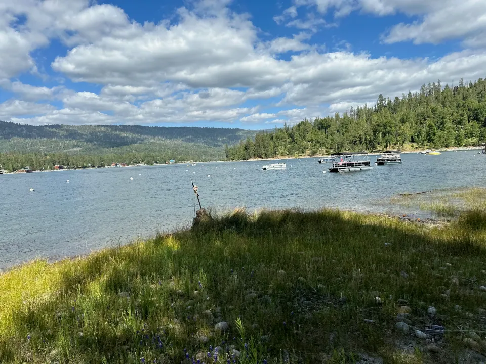 Mountain lake with grassy shore, forest and white clouds