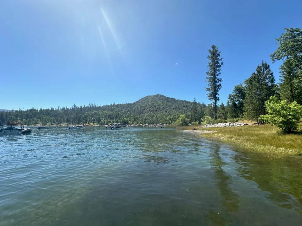 Clear lake shoreline with tall pines and distant peak