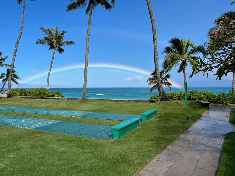 Rainbow arching over turquoise ocean framed by palm trees
