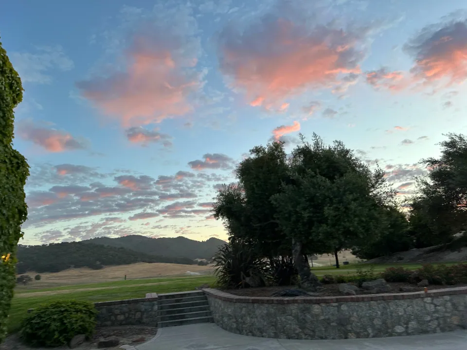 Pink evening clouds over oak tree and rolling golden hills