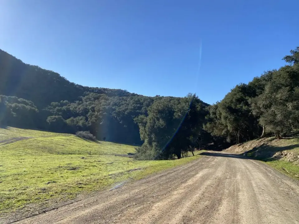 Gravel road climbing through an oak canyon in spring