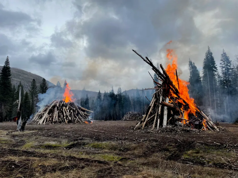 Brush burn piles blazing in a cleared mountain forest clearing