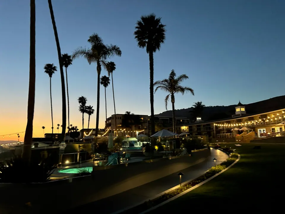 Tall palm silhouettes at dusk over coastal lawn and lights