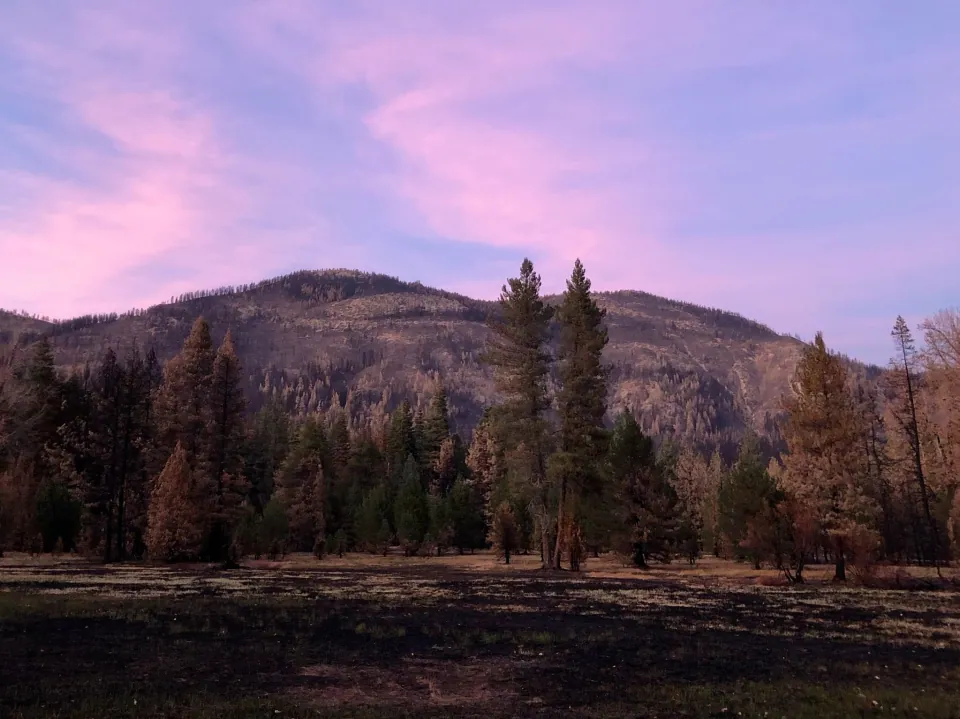 Pink evening sky over a forested mountain ridge