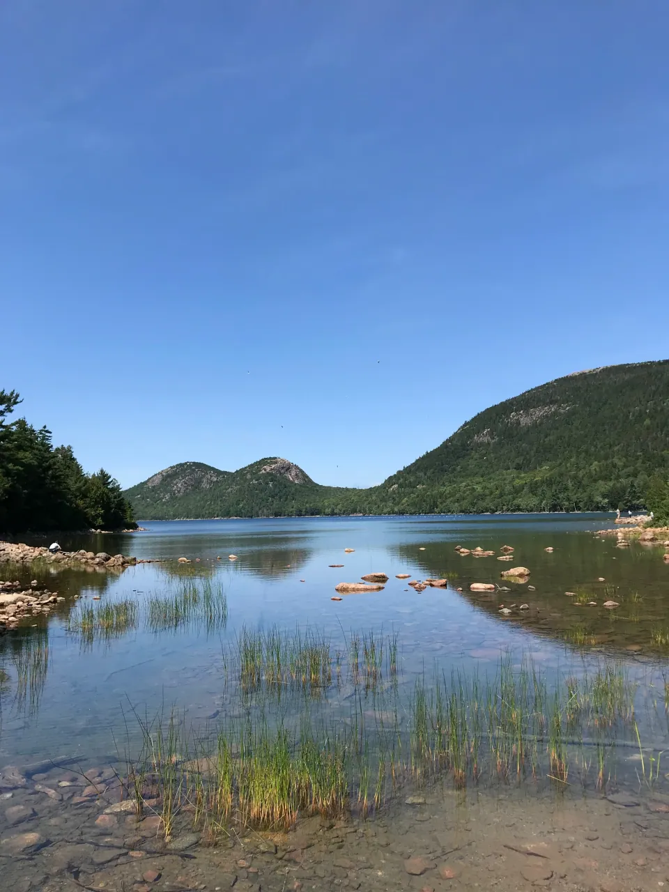 Jordan Pond and the Bubbles under a clear sky