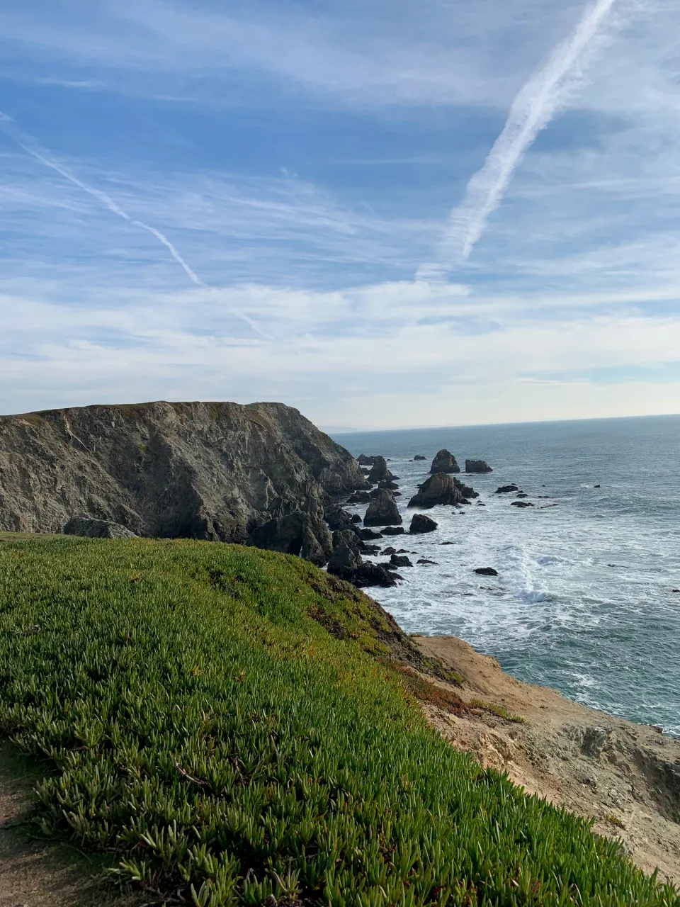 Green bluff above sea stacks and open ocean