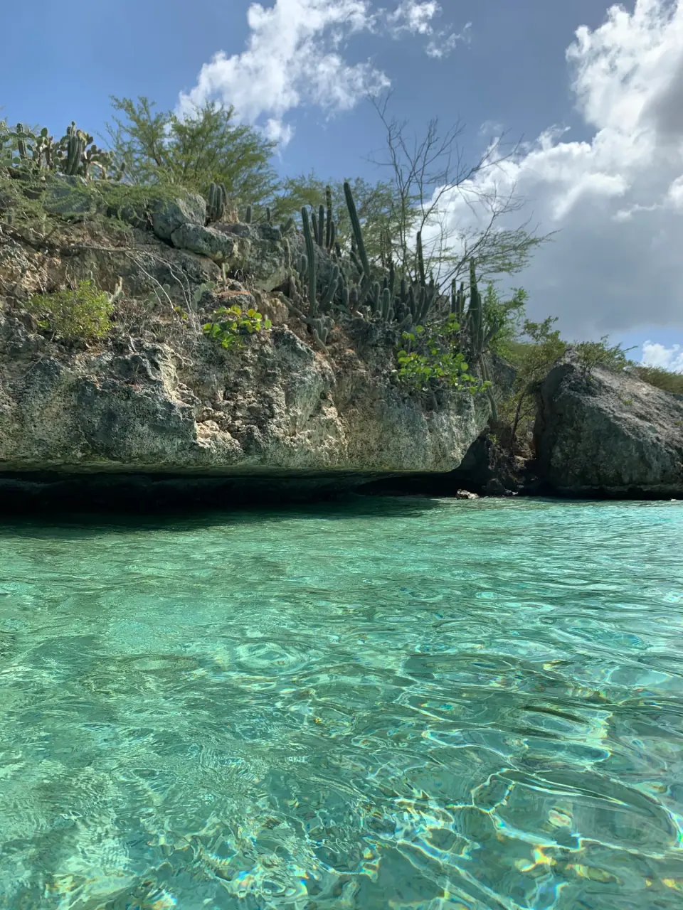 Turquoise cove below limestone cliffs