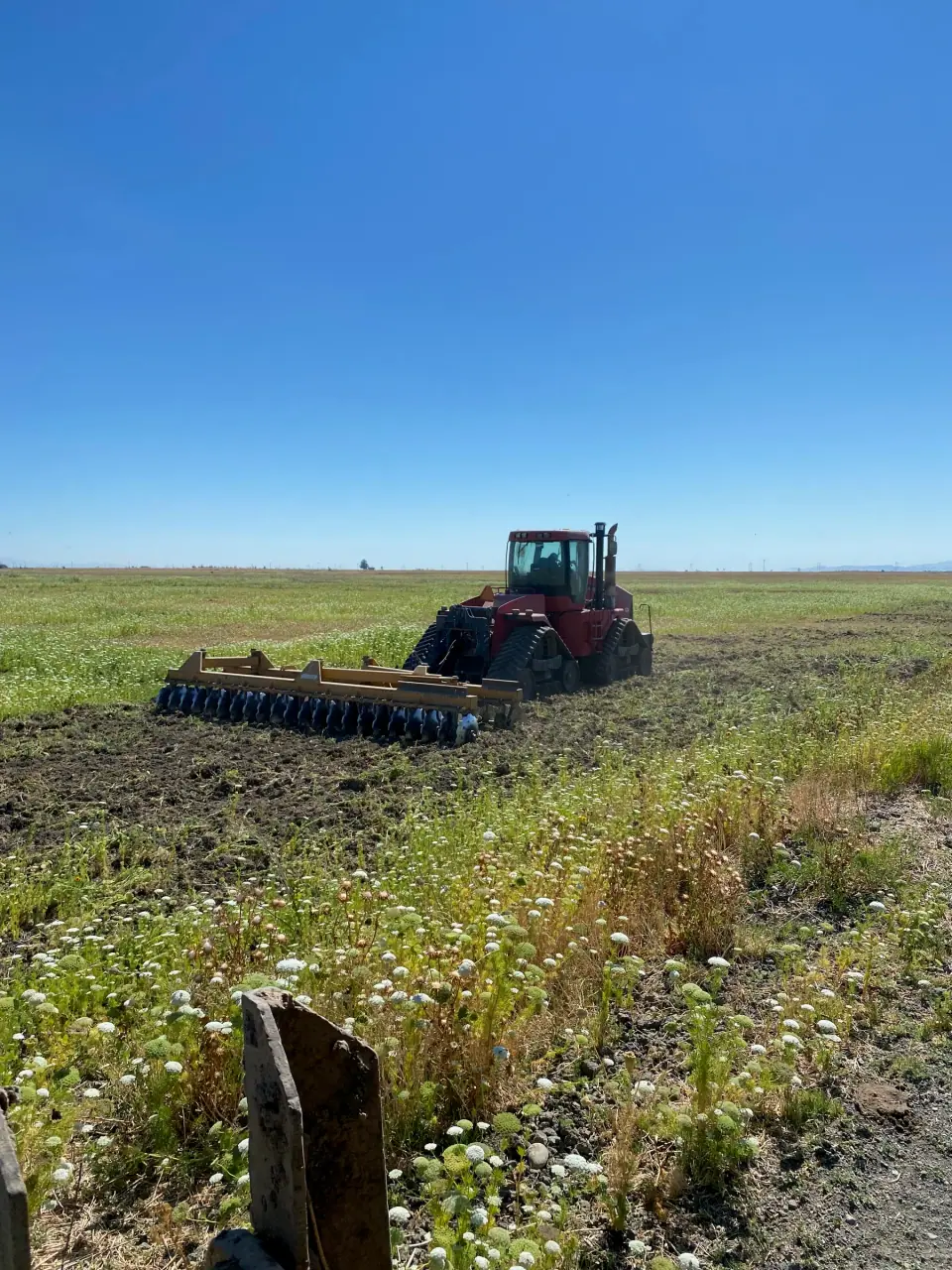 Red track tractor discing a green field