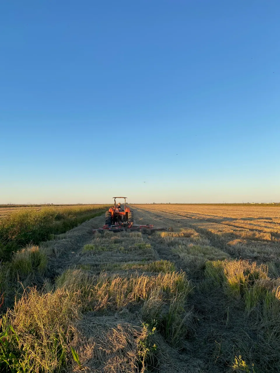 Tractor working a hay field at golden hour