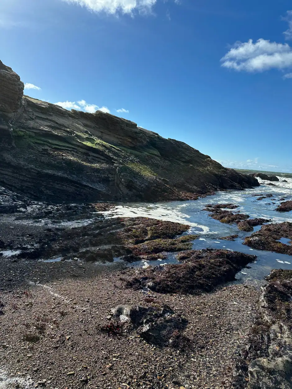 Rocky shoreline and tide pools in the sun