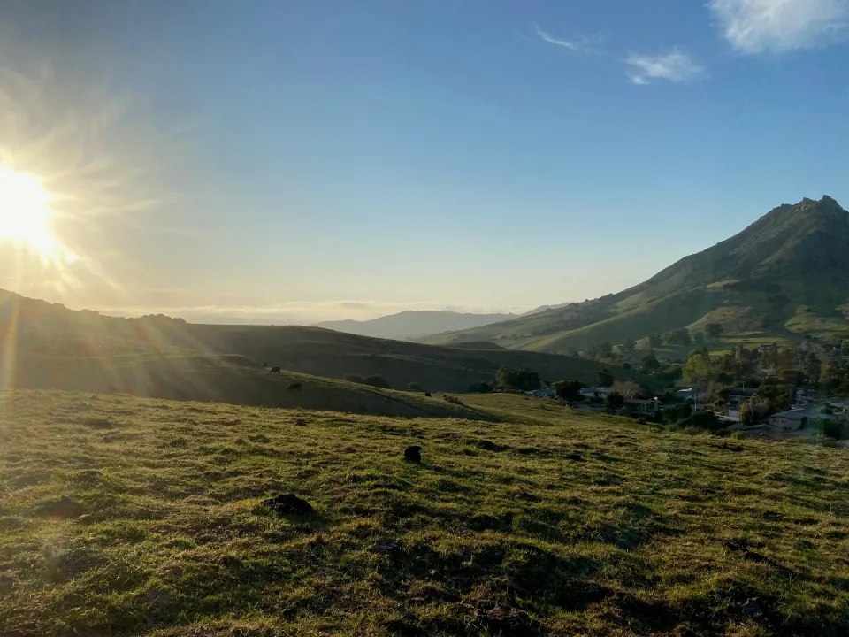 Low sun over green grassland and a volcanic peak