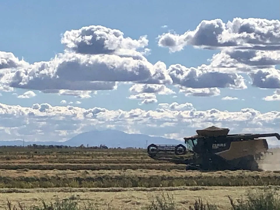Combine harvesting under a sky full of clouds