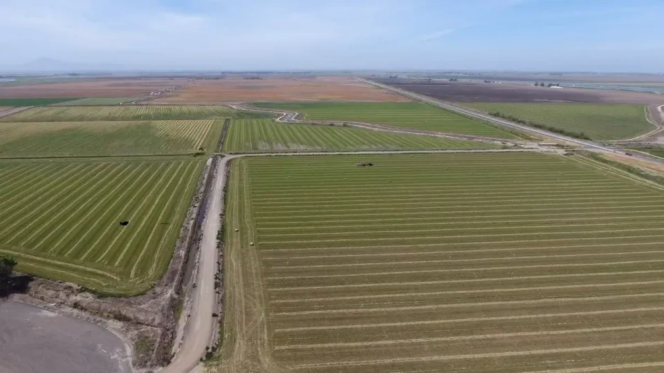 Patchwork of green fields and a canal road, from the air