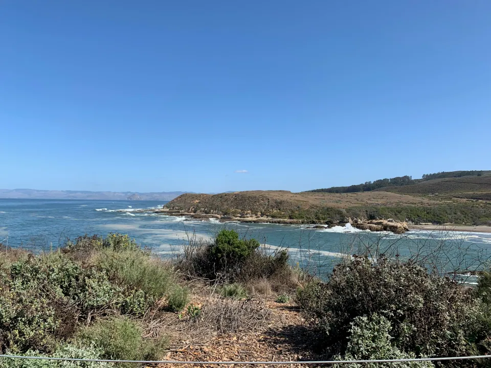 Rocky cove and coastal scrub on a clear day