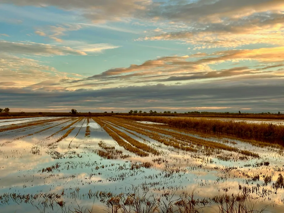 Flooded field mirroring a sunset sky