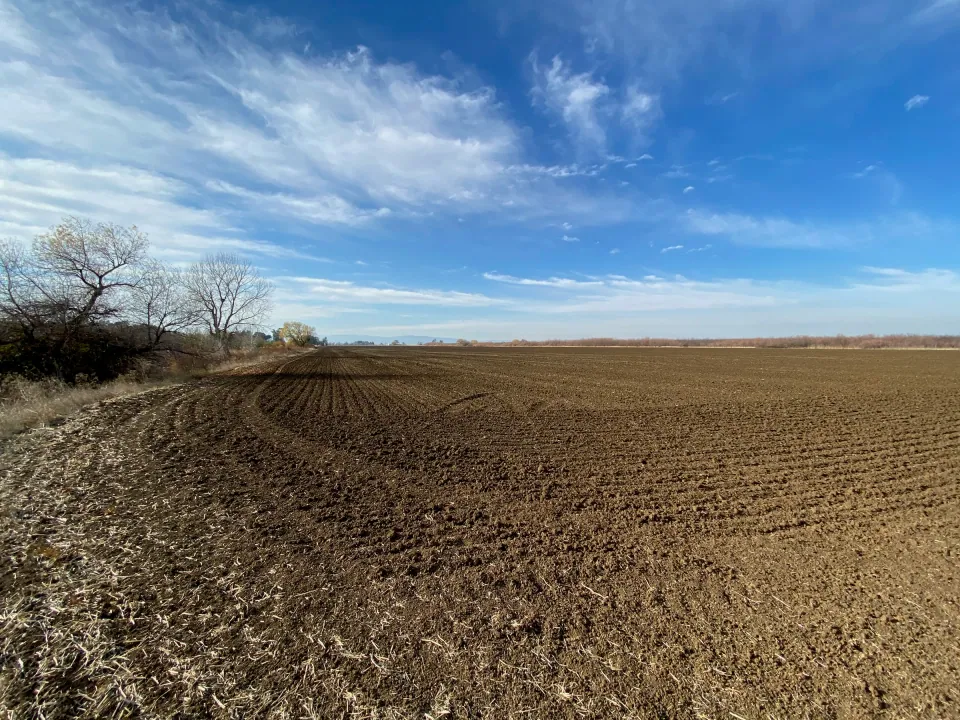 Freshly worked field running to a line of bare trees