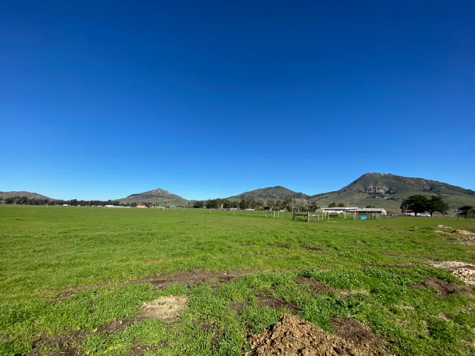 Green pasture with the peaks in a row behind