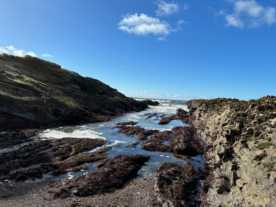 Tide pools among rocky reefs below the bluff